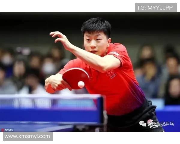 从零基础到乒乓球高手全面提升技巧与欧冠足球战术解析 从零基础到乒乓球高手全面提升技巧与欧冠足球战术解析