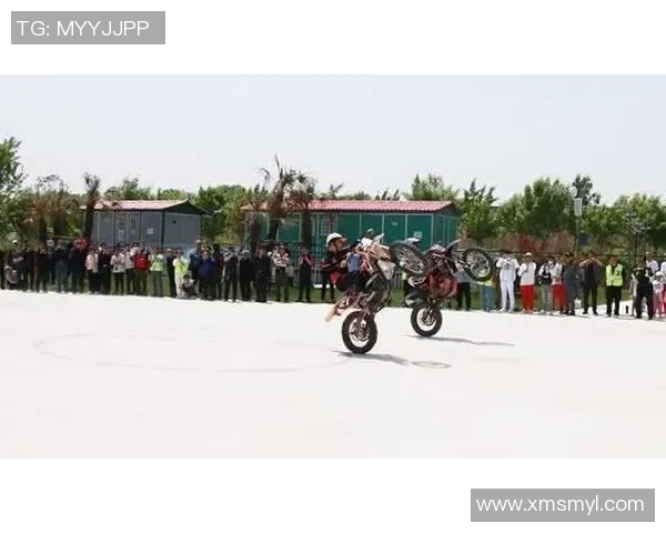 西安极限运动队中路突破的背后故事与发展趋势解析实时数据